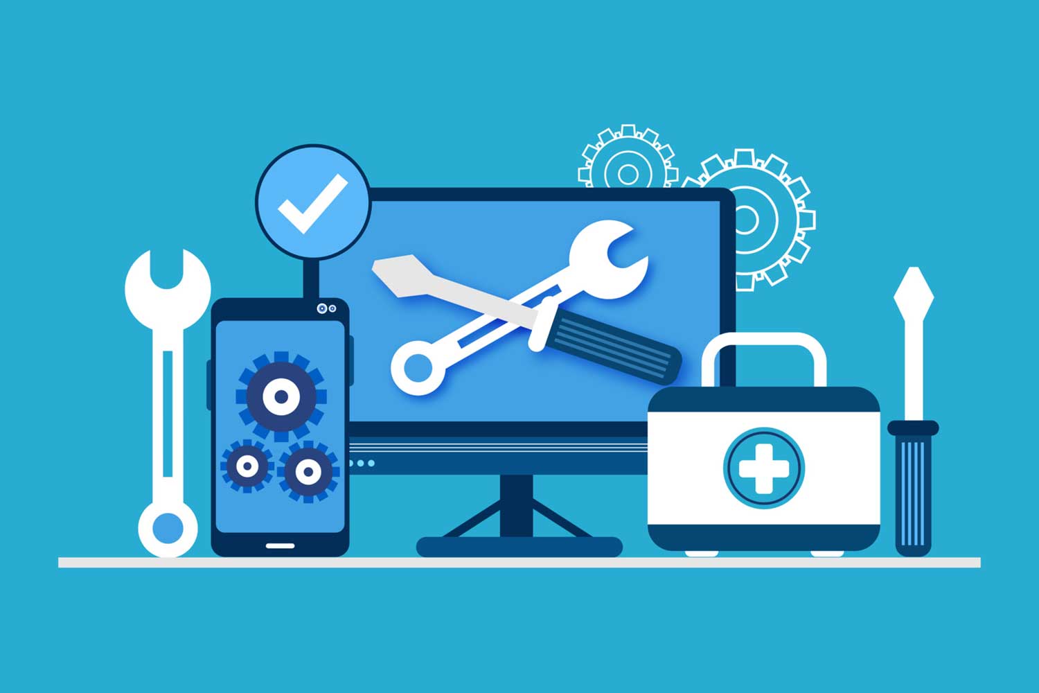 Software Maintenance & Support